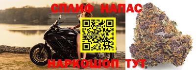 гидра Среднеуральск